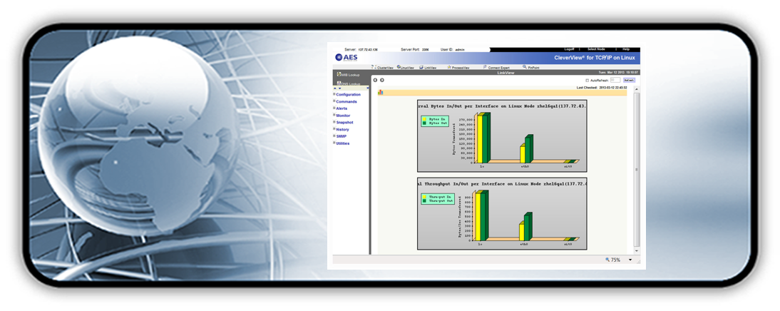 Linux process report