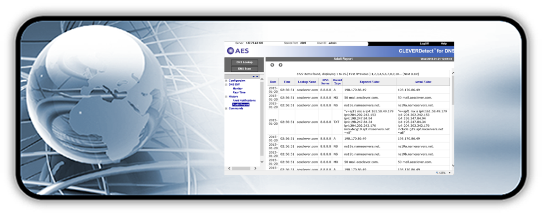 dns history audit report